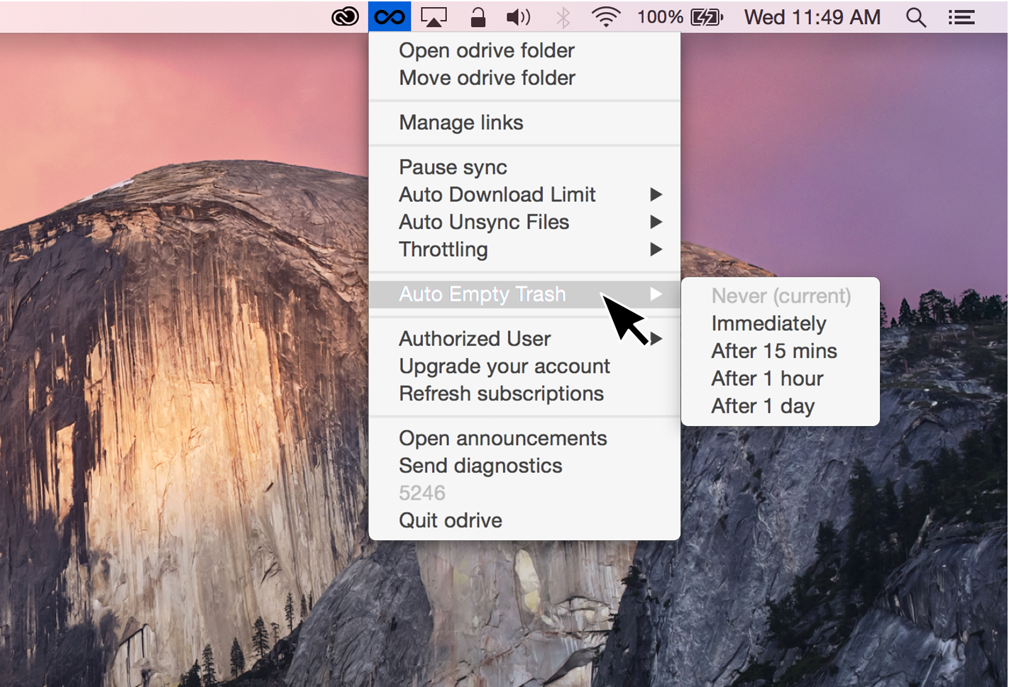 Automate how often your odrive trash is emptied