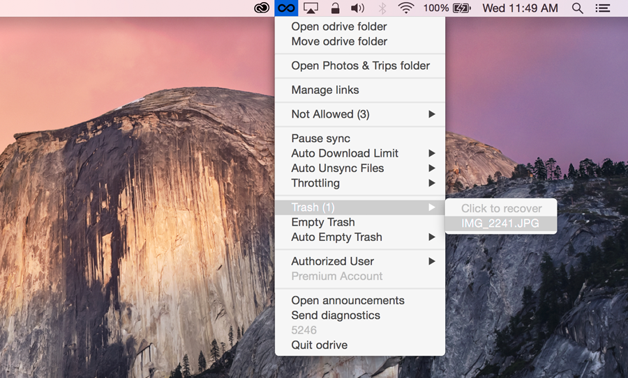 Delete single items by selecting it from the tray