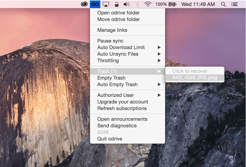 Select the files you wish to recover in the system tray